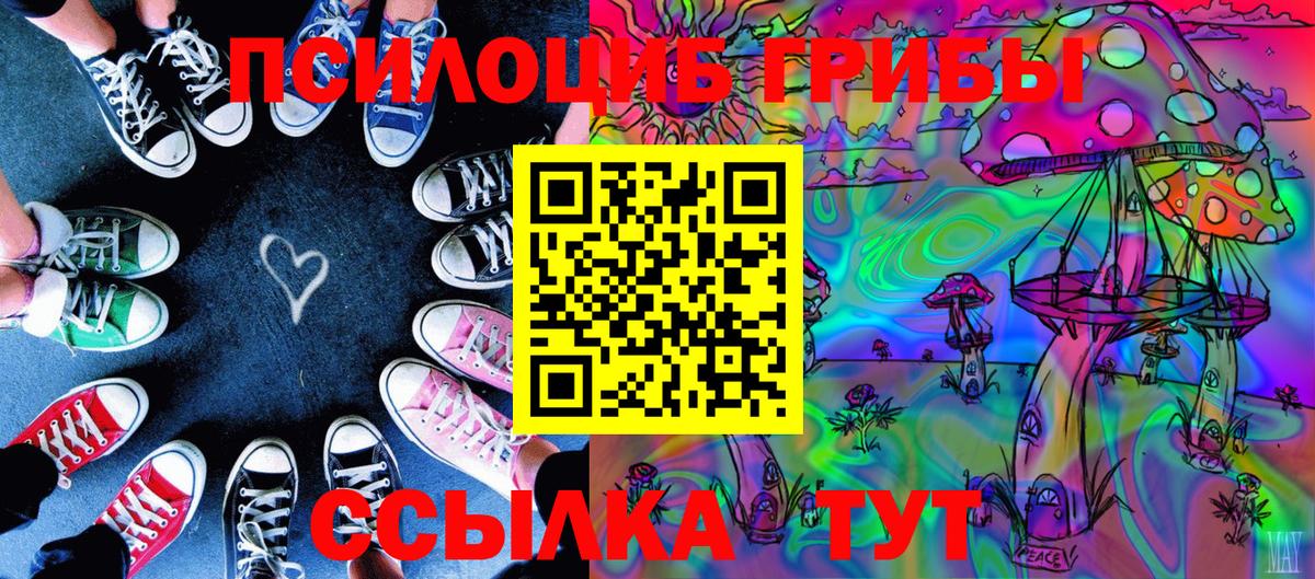 Ангарск  Галлюциногенные грибы Psilocybe  Вход с VPN 